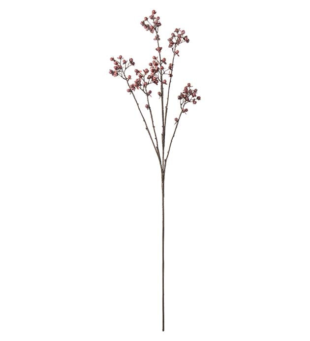 Mr Plant Bärkvist 85cm Burgundy