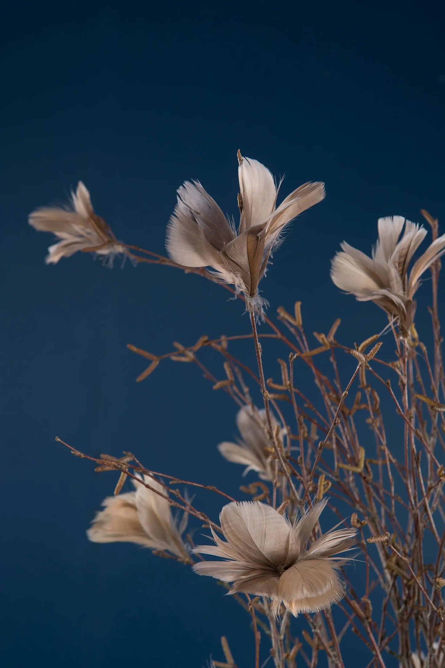 Alot Fjäder Trådad Blom Mullvad