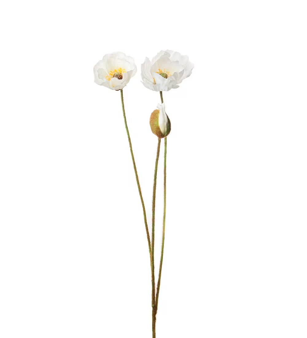 Mr Plant Vallmo 75 cm Vit