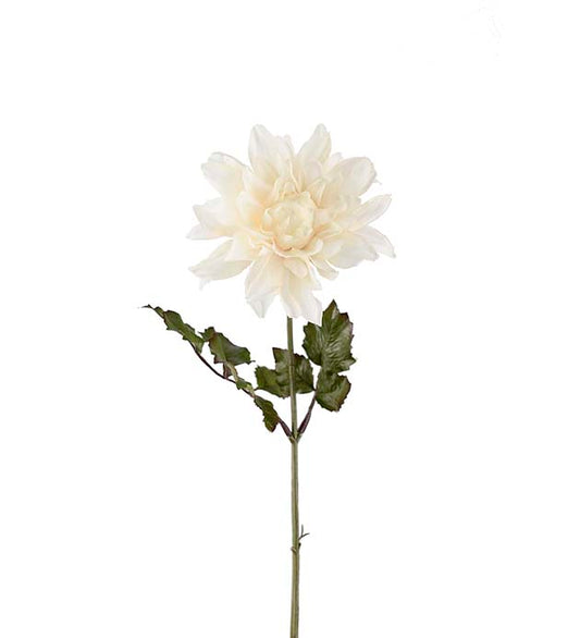 Mr Plant Dahlia Vit 45cm