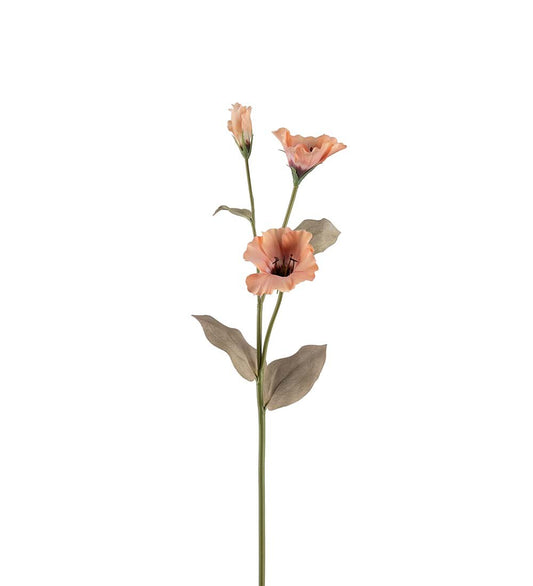 Mr Plant Prärieklocka 60cm Persika