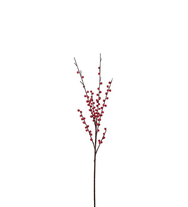 Mr Plant Bärkvist 85cm Röd