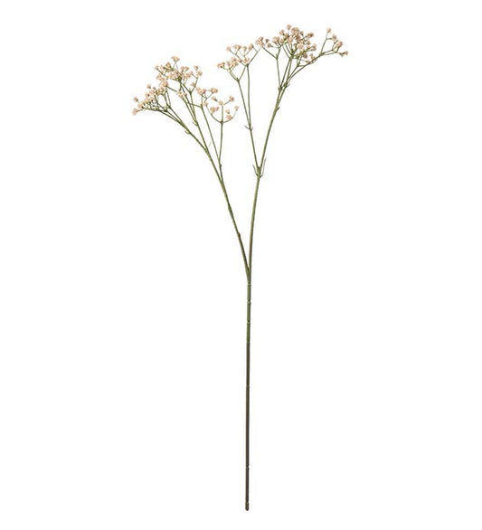 Mr Plant Brudslöja 70cm Beige