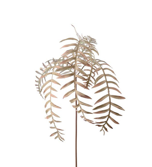 Mr Plant Ormbunksblad 50cm Beige