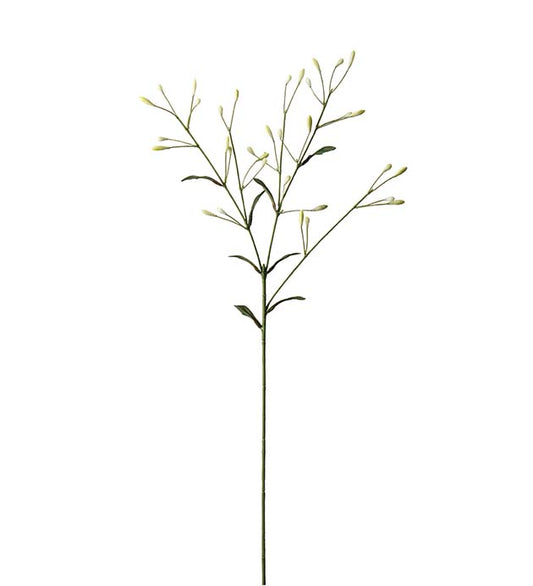 Mr Plant Bärkvist 70cm