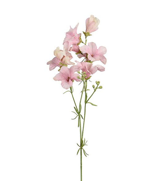 Mr Plant Petunia Rosa 90cm