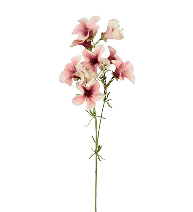 Mr Plant Petunia Beige/Rosa 90cm