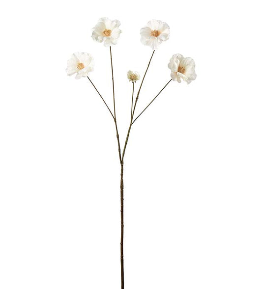 Mr Plant Ranuncel Vit 80 cm