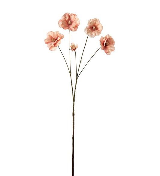 Mr Plant Ranuncel Persika 80cm