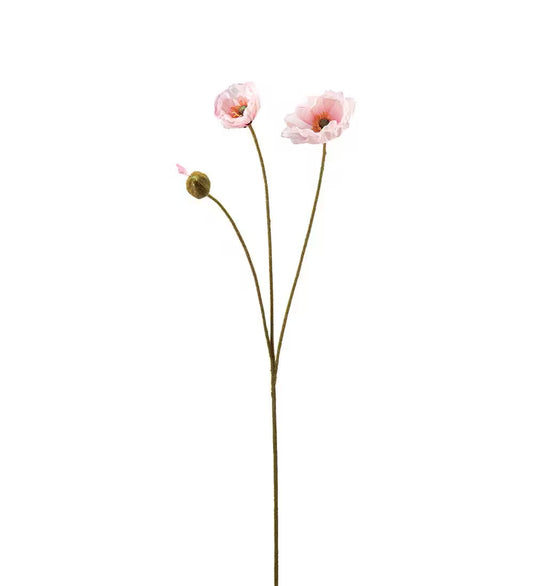 Mr Plant Vallmo 75cm Rosa