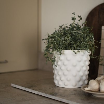 Dbkd Kruka Cloudy White Mini