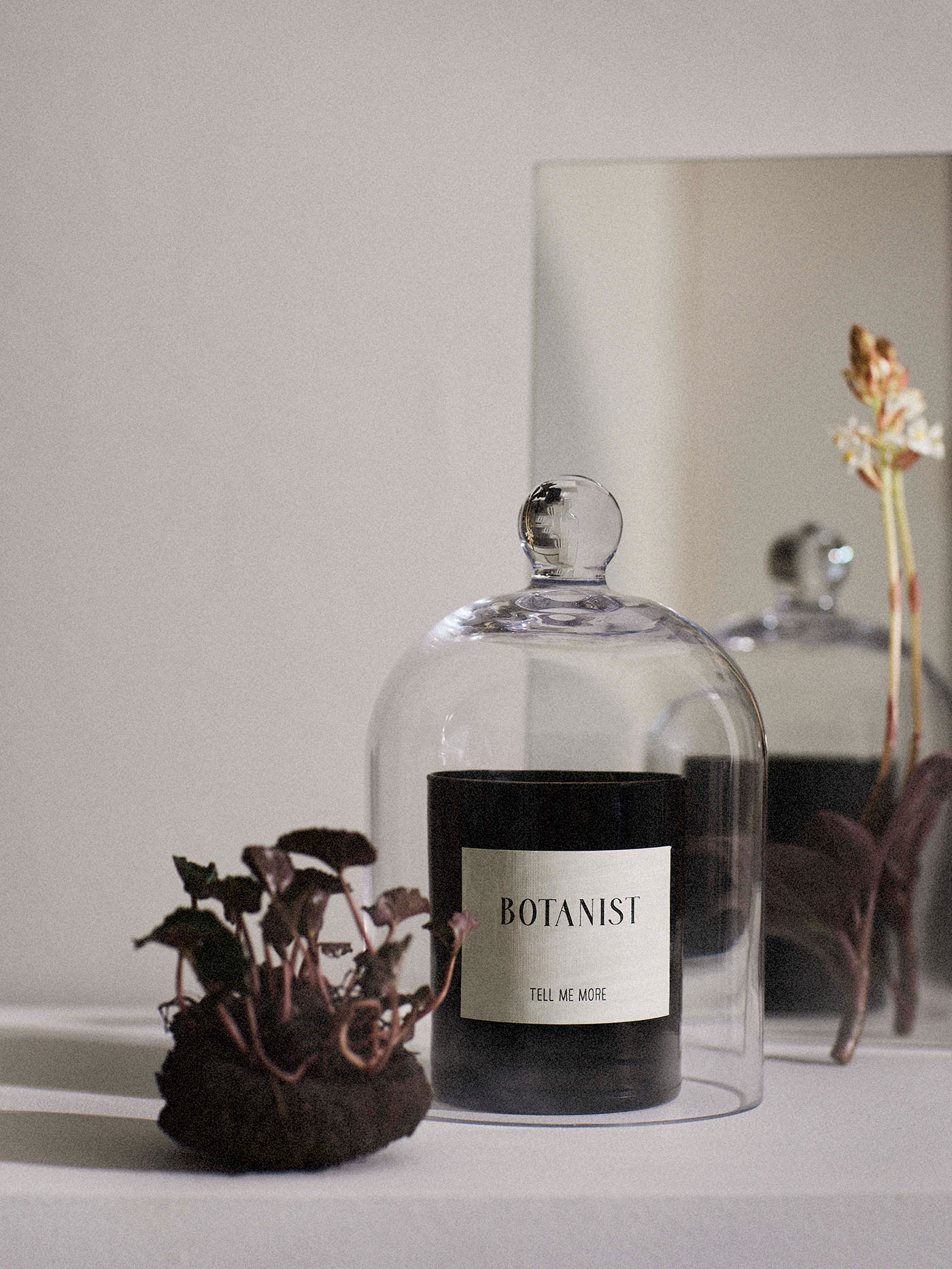 Tell Me More Scented candle - Botanist