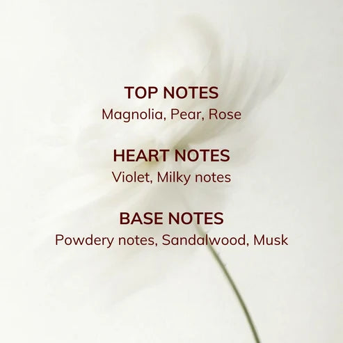 Nuanzes Parfym Wizard of Love 50ml